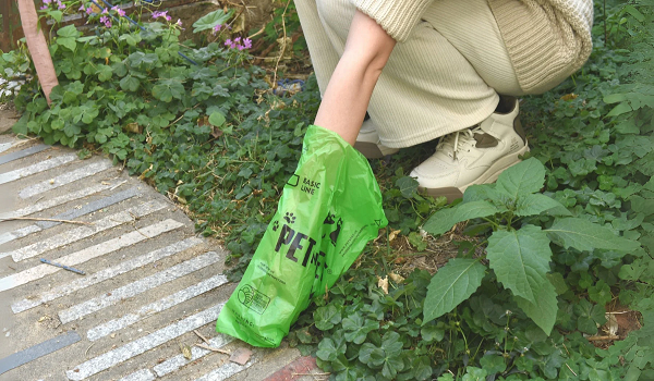 Featured Image of Cleanliness and Pet Waste Management