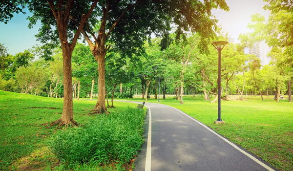 Featured Image of Large Open Spaces and Walking Tracks
