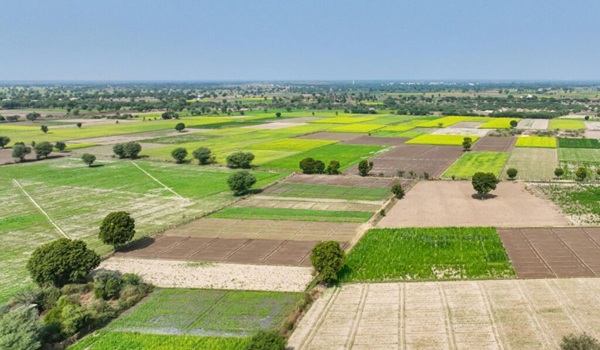 Green residential layout for a large-scale plotted development in Coimbatore